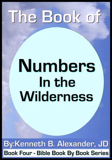 Cover of The Book of Numbers - In the Wilderness