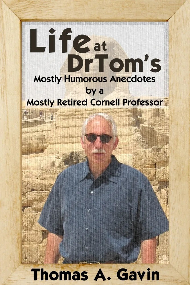 Life at DrTom's