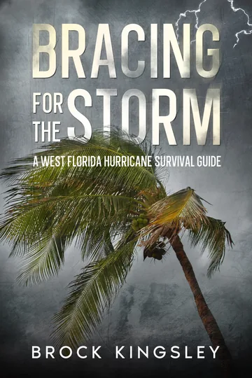 Cover of Bracing for the Storm