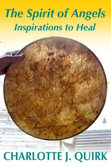 Cover of The Spirit of Angels