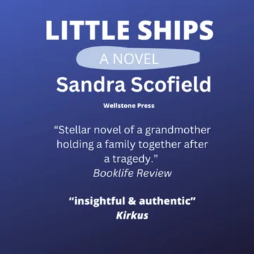 Cover of Little Ships