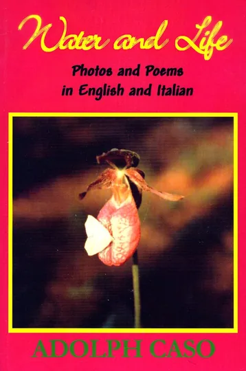 Cover of Water and Life