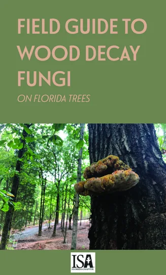 Cover of Field Guide to Wood Decay Fungi on Florida Trees