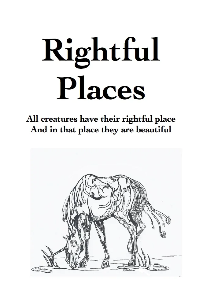Rightful Places