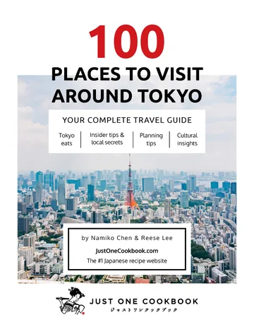 Cover of 100 Places to Visit Around Tokyo