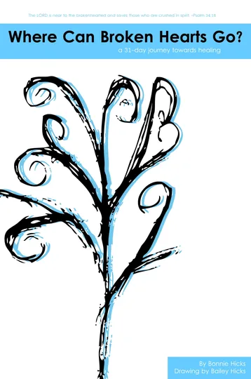 Cover of Where Can Broken Hearts Go?