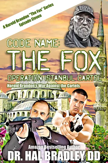 Cover of CODE NAME: FOX
