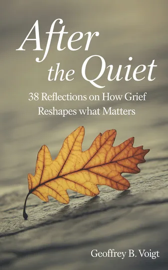 Cover of After the Quiet