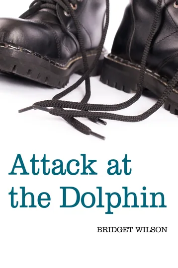 Cover of Attack at the Dolphin