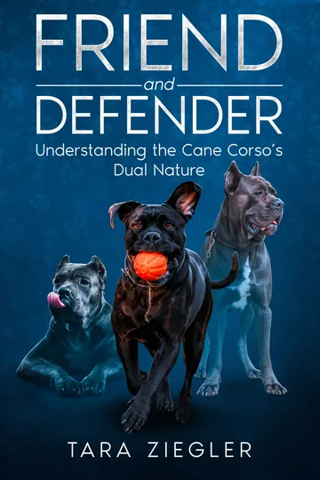 Cover of Friend and Defender