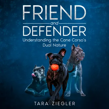 Cover of Friend and Defender