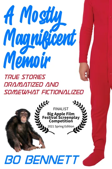 Cover of A Mostly Magnificent Memoir