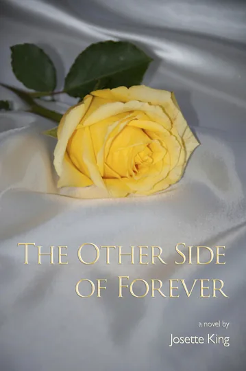 Cover of The Other Side of Forever