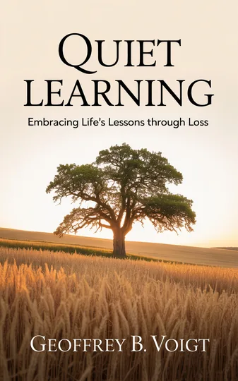 Cover of Quiet Learning