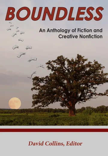 Cover of Boundless