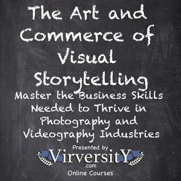 Cover of The Art and Commerce of Visual Storytelling