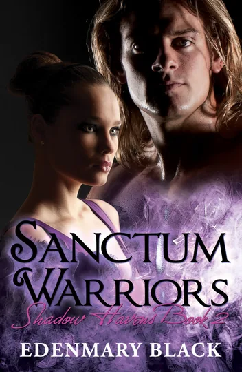 Cover of Sanctum Warriors