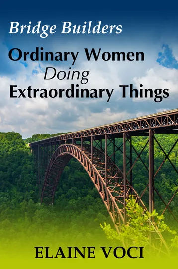 Cover of Bridge Builders