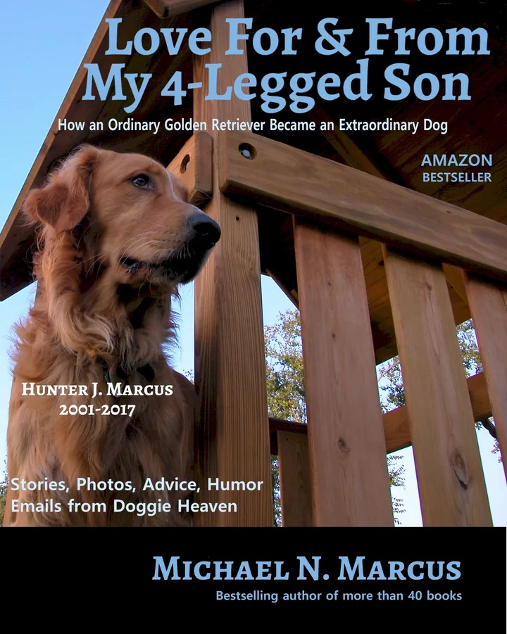 Love For & From My 4-Legged Son