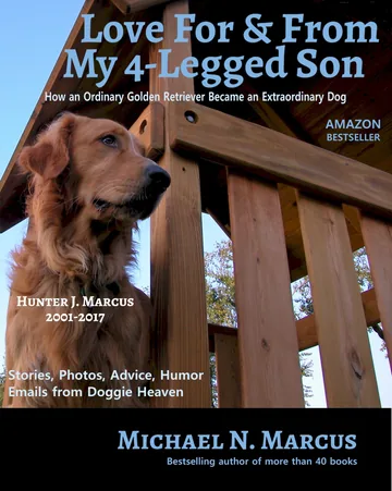 Love For & From My 4-Legged Son