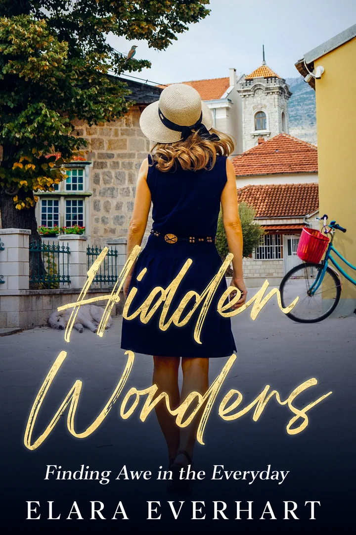Hidden Wonders