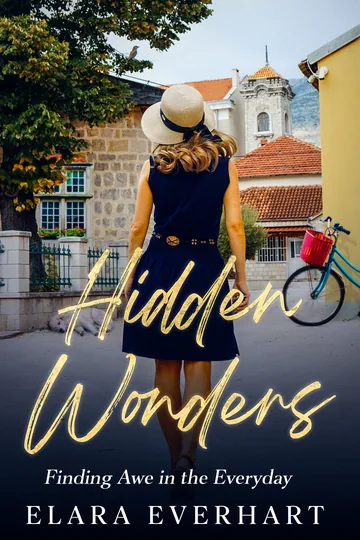 Cover of Hidden Wonders