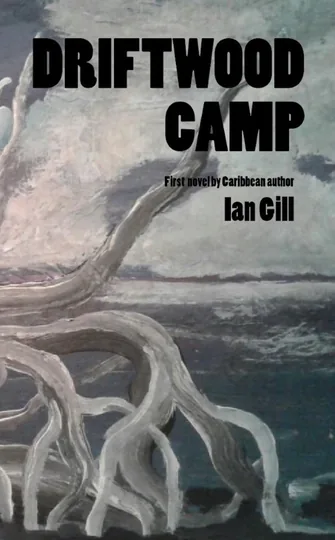 Cover of Driftwood Camp