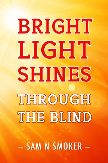 Cover of Bright Light Shines Through The Blind