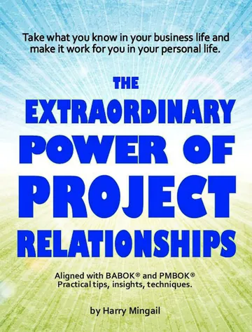 Cover of The Extraordinary Power of Project Relationships