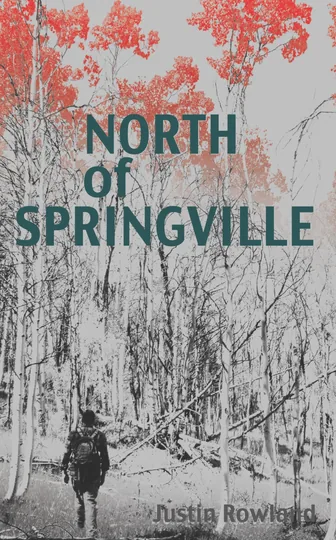 Cover of North of Springville