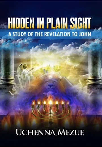 Cover of Hidden In Plain Sight